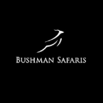 Bushman Safaris Profile Picture