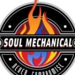 Soul Mechanical Ltd Profile Picture