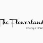 The FlowerLand Profile Picture