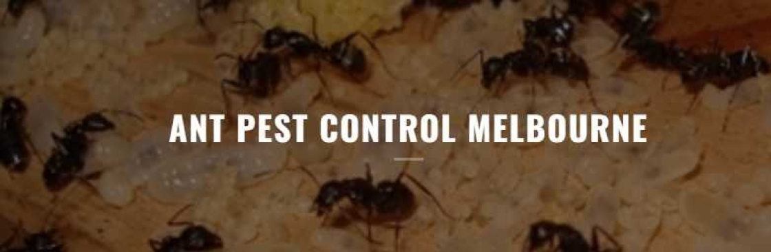 Ant Pest Control Melbourne Cover Image