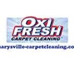 carpet cleaning Profile Picture
