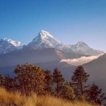 Sherpa Expedition and Trekking Profile Picture