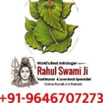 Free Pandit Ji Astrology at Whatsapp Online Profile Picture