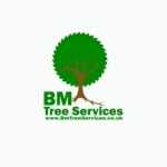 Tree Surgery In Glasgow BM Tree Services Profile Picture