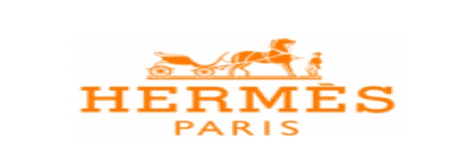 replicahermes birkin Cover Image