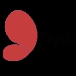 Fly Dreamz profile picture