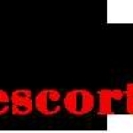 Pune Escorts profile picture