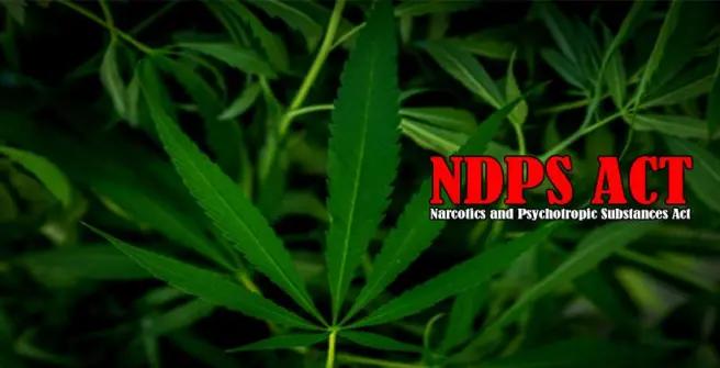 How Experienced NCB Lawyers Handle Narcotics Cases in India | APSense.com