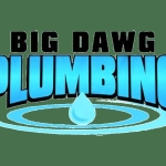 Big Dawg Plumbing profile picture