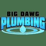 Big Dawg Plumbing profile picture
