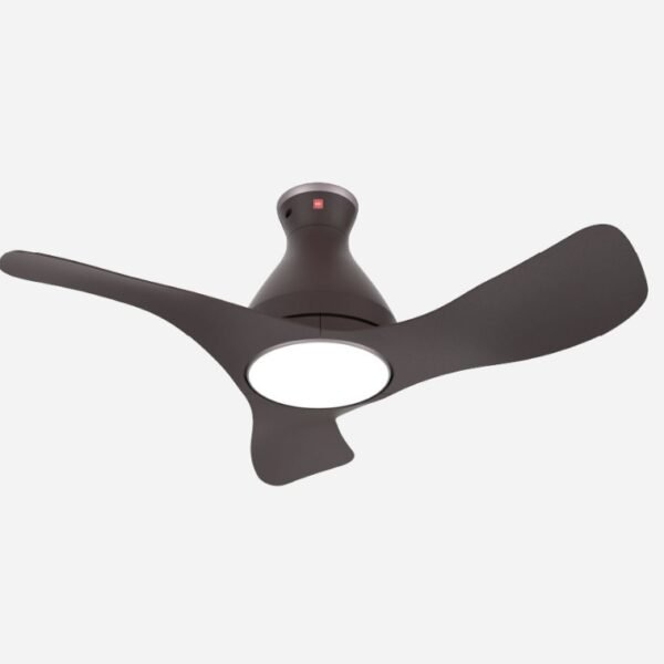 Buy Designer Ceiling Fans with Lights Online in Singapore