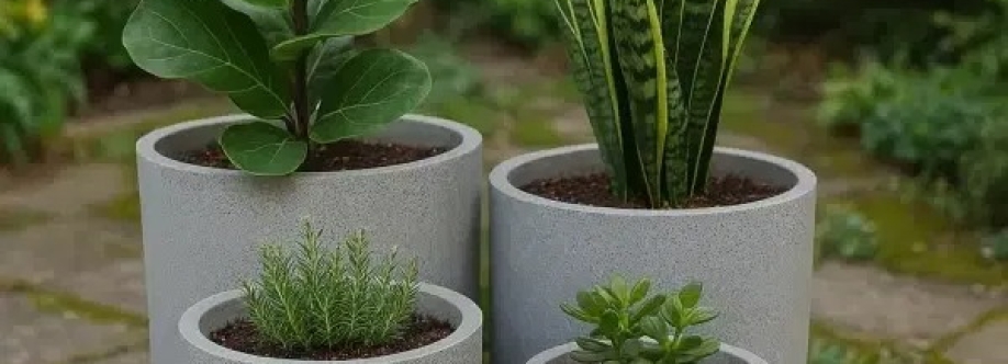 Designer Plants Cover Image