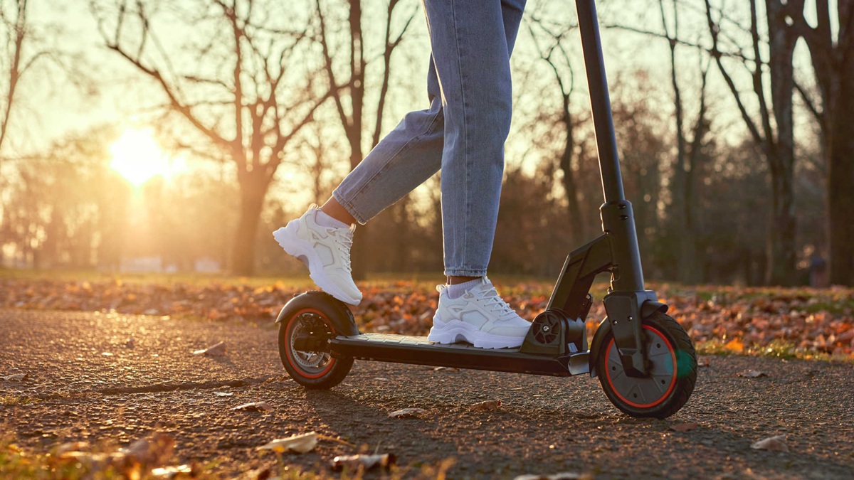 Electric Scooters: Everything You Need to Know Before Buying One Online – Vibe Explored