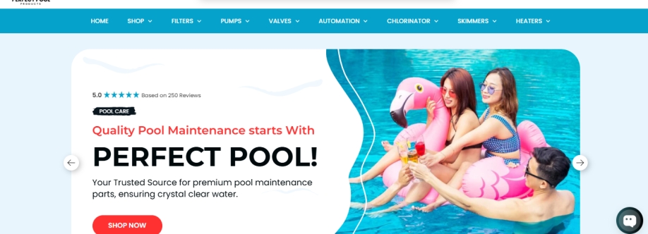 Perfect Pool Products Cover Image