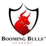 Booming Bulls profile picture