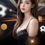 메이저사이트 majorsite profile picture