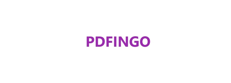 PDF INGO Cover Image