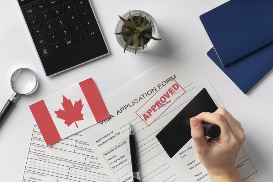 Steps to Apply for a Canada Visit Visa from Dubai - Houston News Buzz