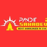 Pandit Saha dev profile picture