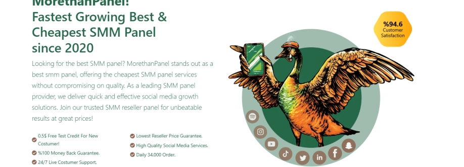 MoreThanPanel Official Cover Image