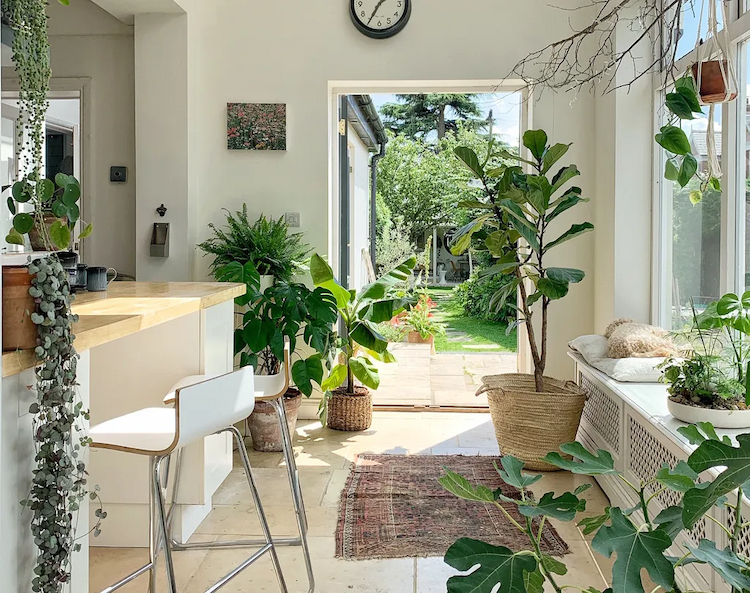 How to Add Greenery to Your Home with Indoor Plants - Share A Word