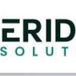 Veridian Solutions profile picture