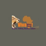 VIVA AFRICA TOURS profile picture