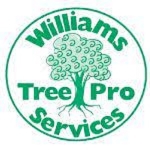 Williams Tree Pro Services profile picture