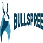 bullspree profile picture