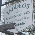 Taddeosgreenhouses profile picture