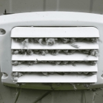 dalycitydryerventcleaning profile picture