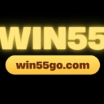 Win55 Nhà cái game bài bắn cá đổi thưởng uy tín 202 profile picture