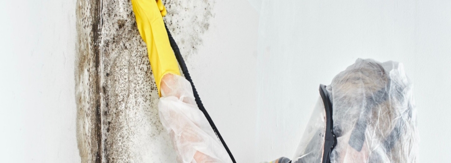Denville Mold Remediation Cover Image