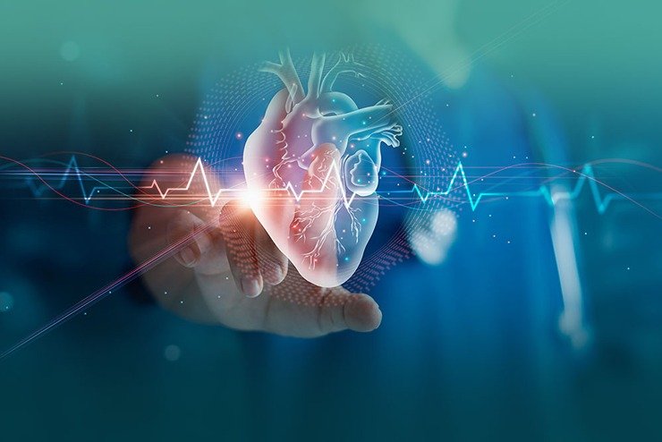 Cardiology Treatment in india - Mcurehealth
