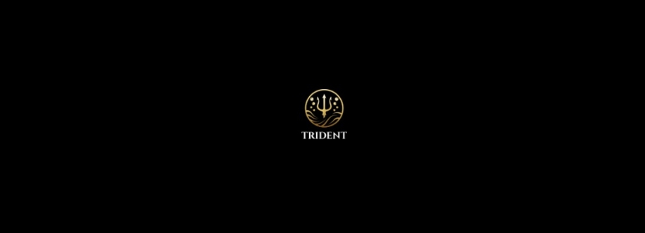 Trident Professional Cleaning Services Cover Image