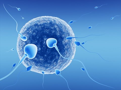 Reproductive Medicine - Mcurehealth