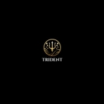Trident Professional Cleaning Services Profile Picture