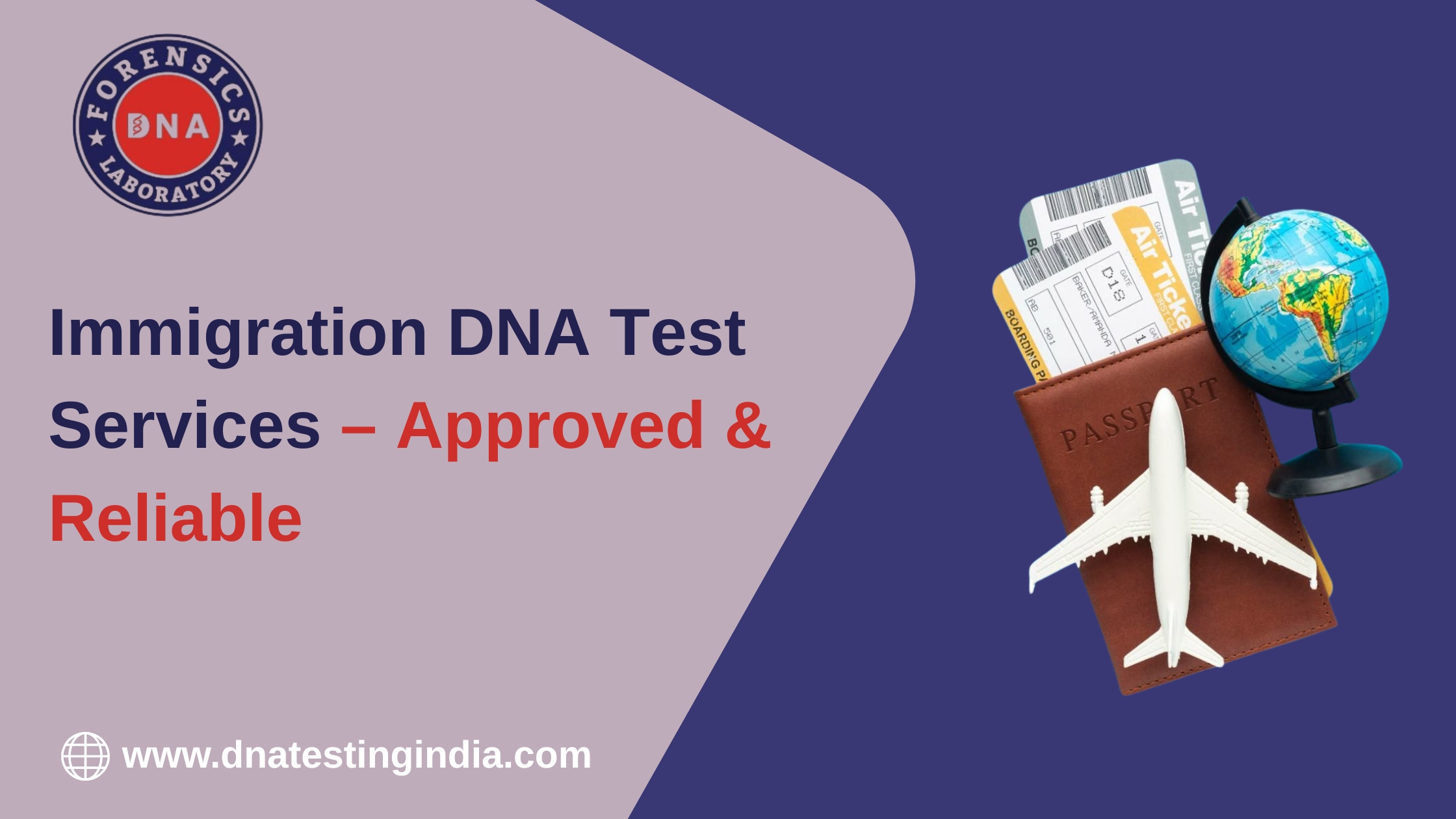 DNA Testing for Immigration Purposes – A Detailed Guide – DNA Forensics Laboratory
