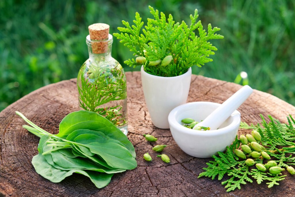 Herbal Medicine and Yoga - Mcurehealth