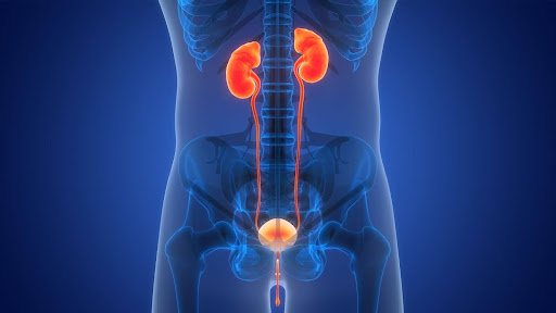 Urology & Kidney Transplant - Mcurehealth