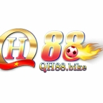 QH88 Trai Nghiem Giai Tri Ca Cuoc Online Dinh Cao profile picture