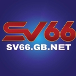 SV66 Nhà Cái Uy Tín Giải Trí Đỉnh Cao profile picture