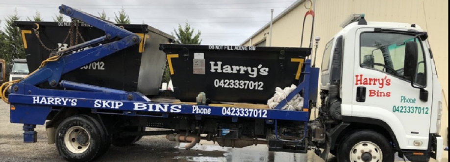 Harry Bins Cover Image