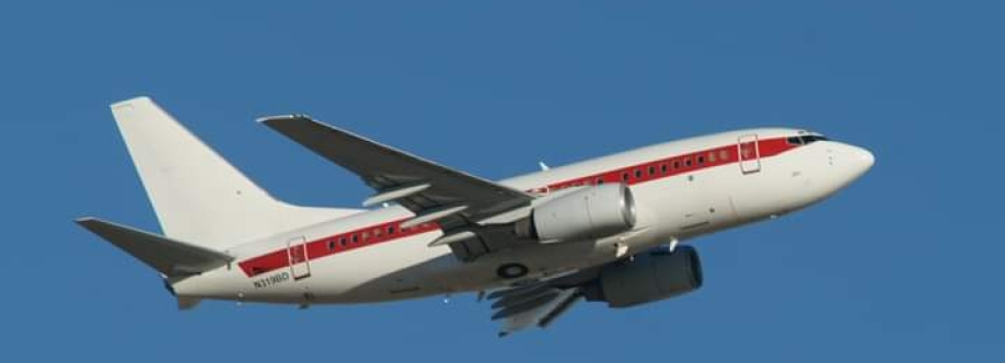 JANET AIRLINES Just Another Non Existent Termin Cover Image