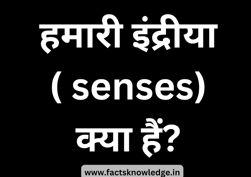 Senses in Hindi - इंद्रीयो की जानकारी