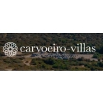 carvoeirovillasp profile picture