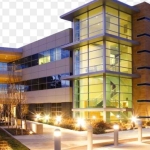 Reeltor Company profile picture