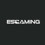 Esgaming profile picture