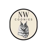NW Coonies profile picture