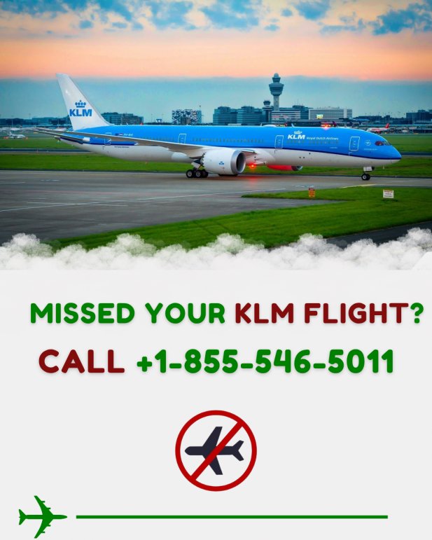 Missed Your KLM Flight? Here’s What You Need to Know Article - ArticleTed -  News and Articles